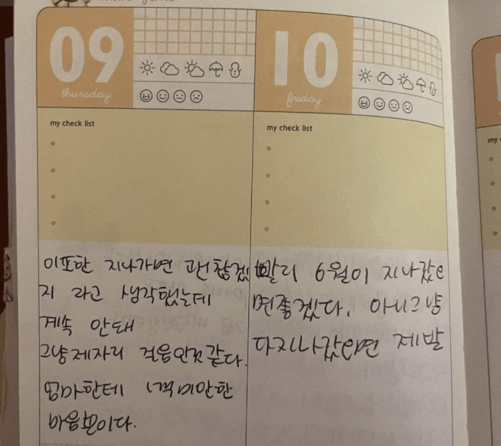 이나은-친언니-학폭-왕따-폭로-일기장-인스타그램