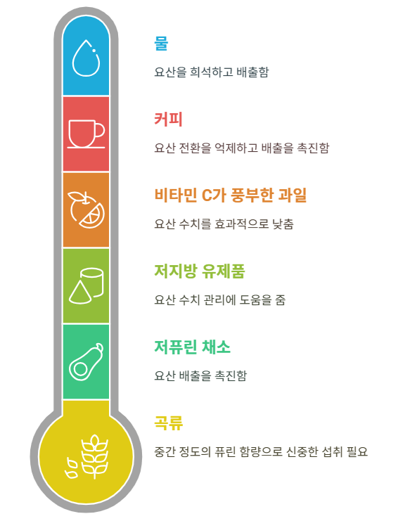 요산 수치에 미치는 영향을 기준으로 한 음식