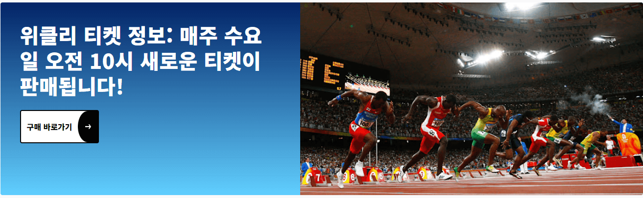 2024 파리올림픽