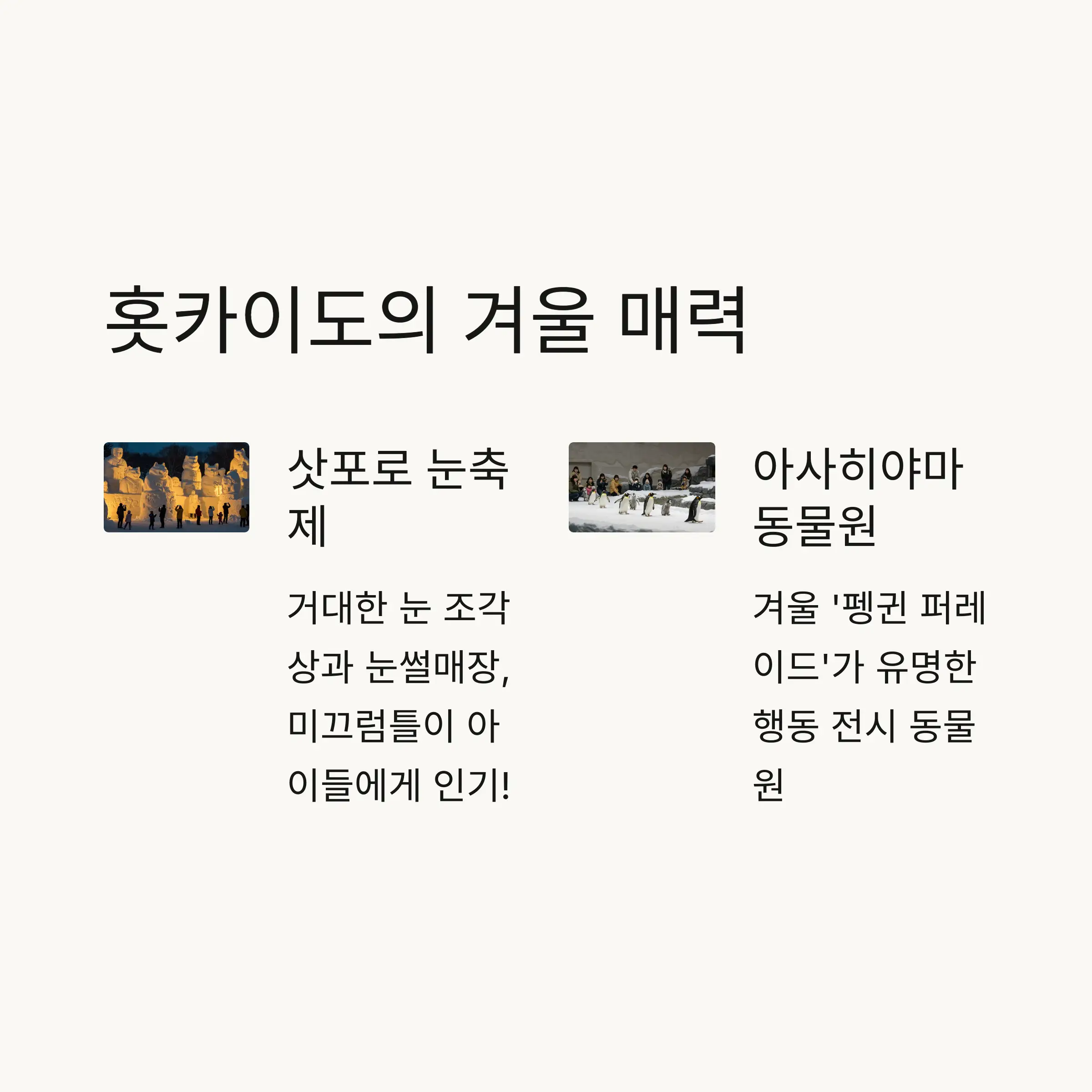 ❄️ 홋카이도 지역 가족여행 명소
