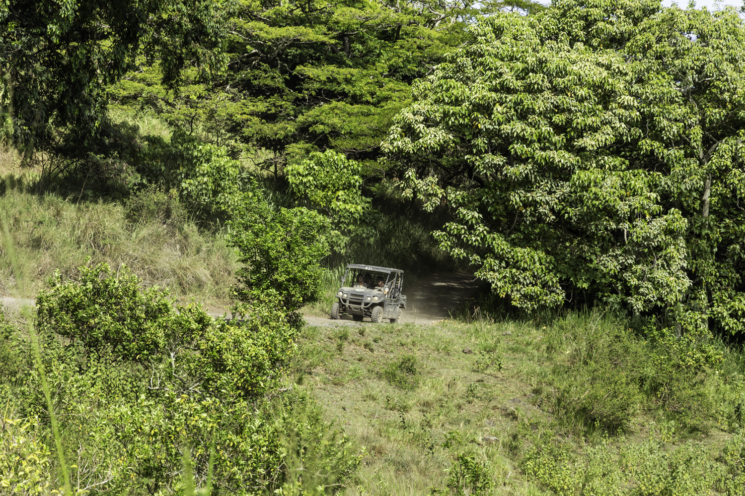 쿠알로아랜치 UTV 랩터 투어