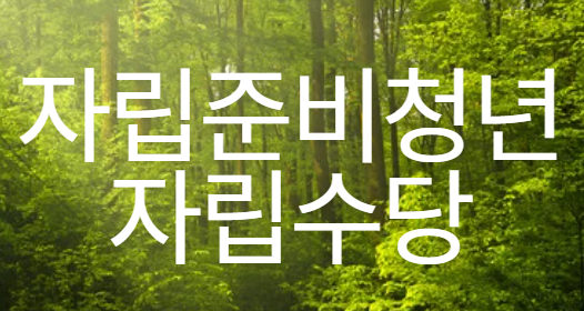 자립준비청년 자립수당 이미지