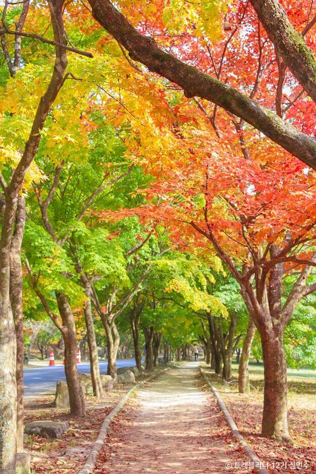 전국 단풍명소, 절정시기