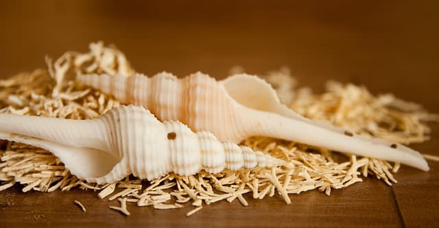 초보자를 위한 자개공예