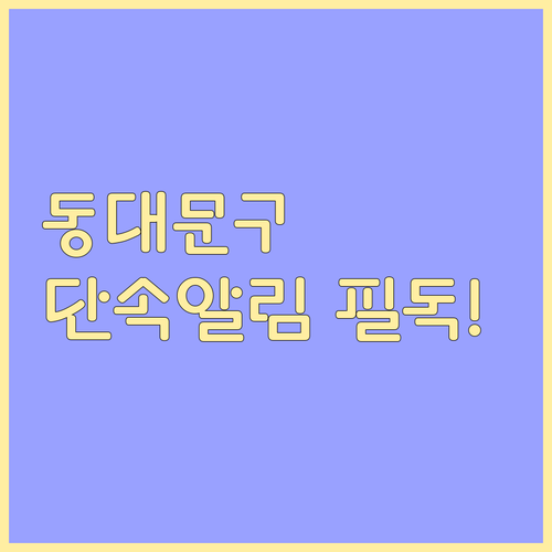 동대문구 주정차 단속 알림 서비스 신..