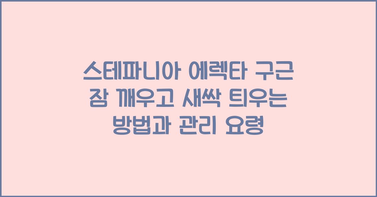 '스테파니아 에렉타' 구근 잠 깨우고 새싹 틔우는 방법