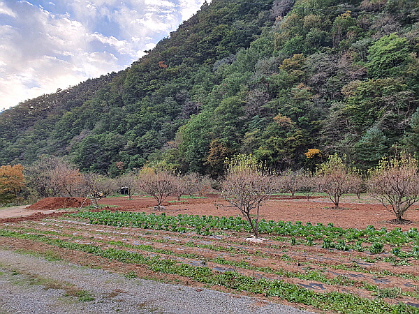 강원도 가을 풍경 사진