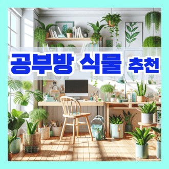 공부방 식물