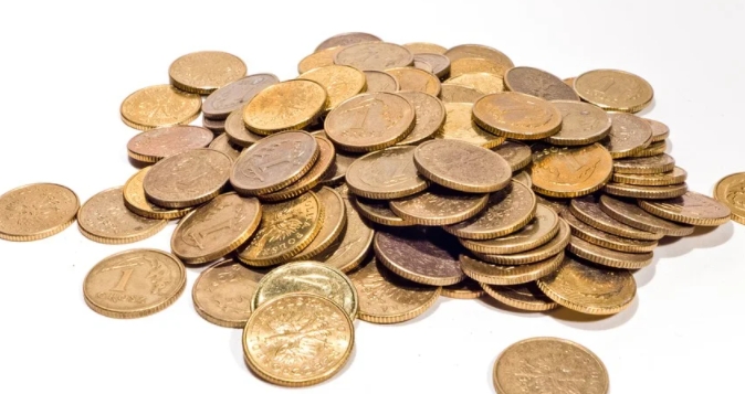 5차 재난지원금 상품권