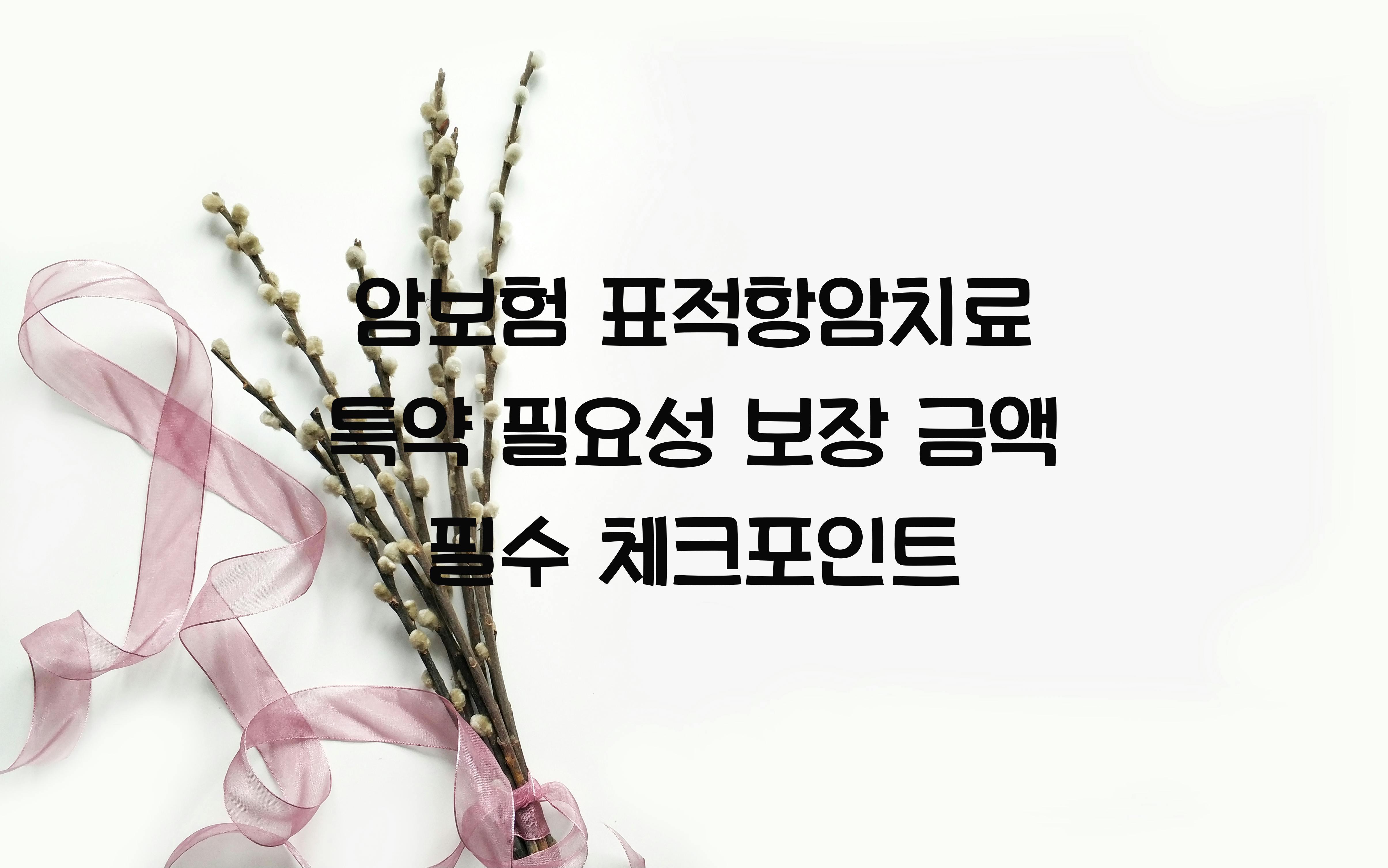 암보험 표적항암치료