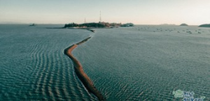 진도바닷길축제