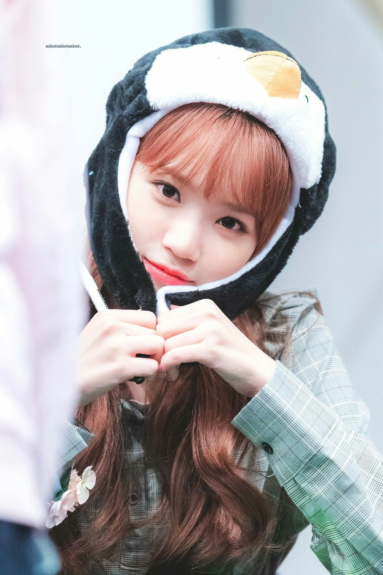 김채원 사진 모음