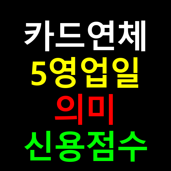 카드연체 5영업일