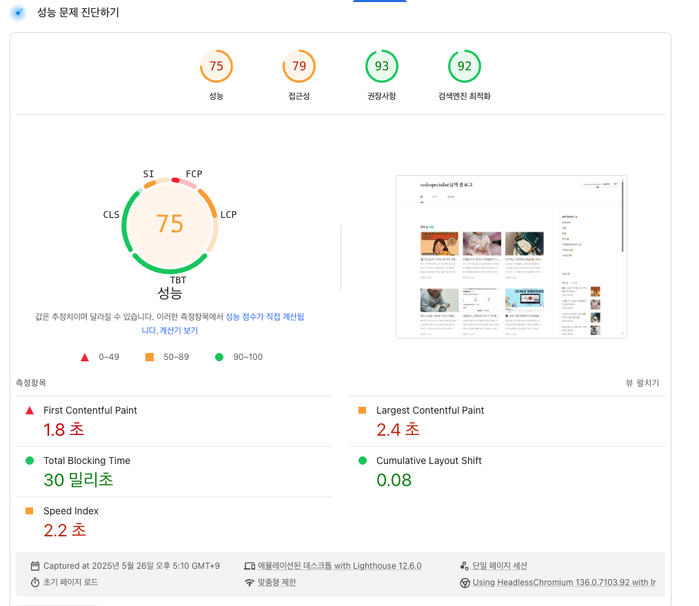 성능 진단 결과 이미지