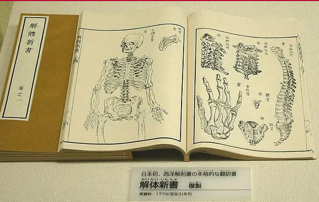 일본의 역사-교육