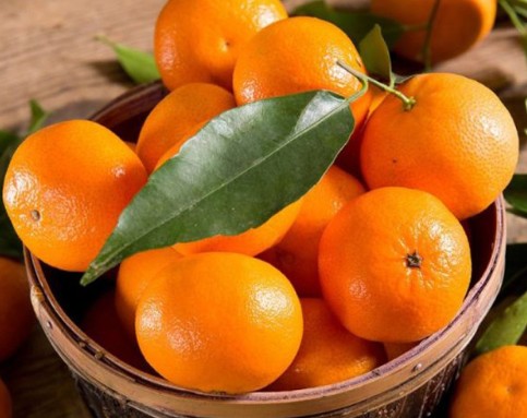 영양사들이 추천하는 가장 과소평가된 건강에 좋은 음식 클레멘타인