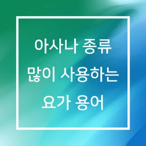 요가 용어 아사나 종류