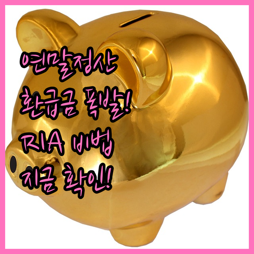 연말정산 환급금 높이는 RIA 계좌 ..