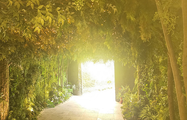 2025 순천만국가정원 입장료 추천코스 스카이큐브 순천여행 근처맛집 주차장 동문 서문 편의시설 예약 정원해설