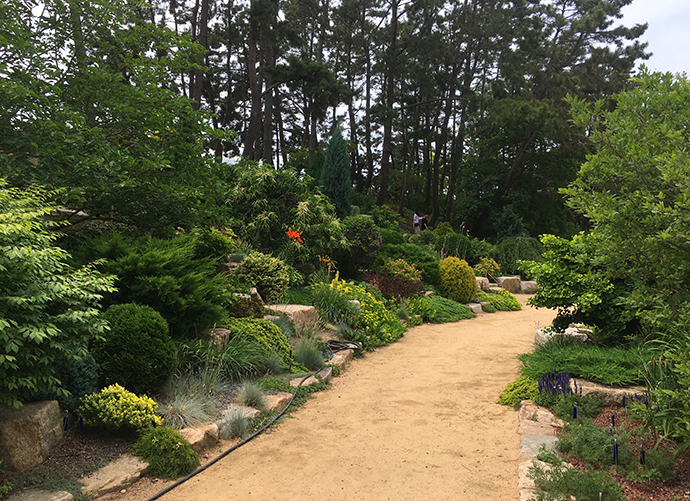 연못-옆-식물-사이로-난-길