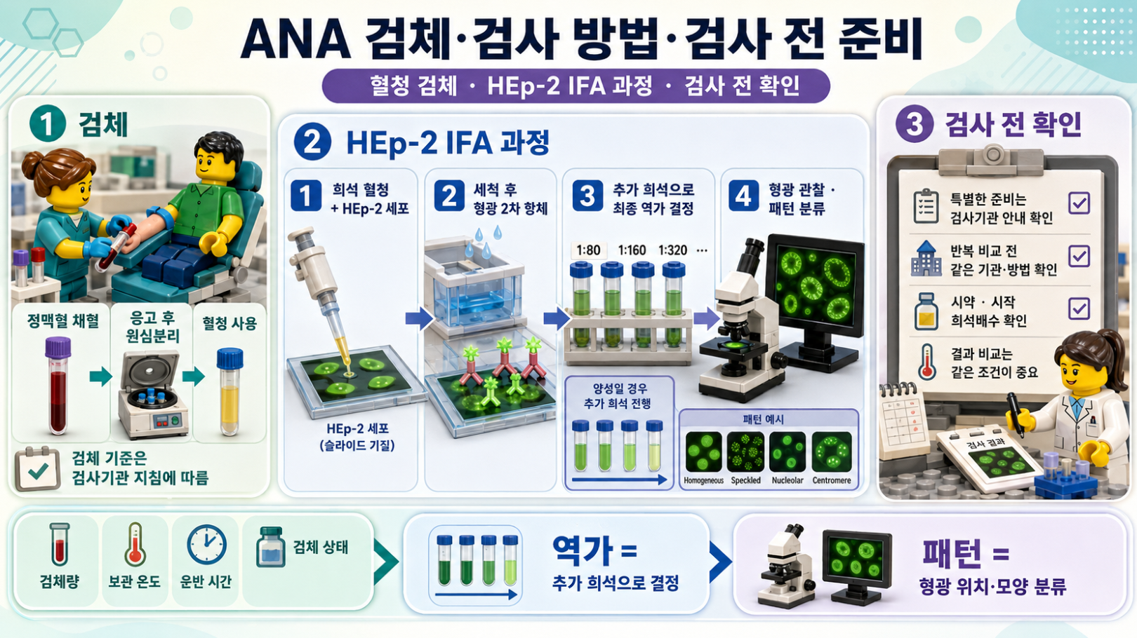 ANA 혈청 검체와 HEp-2 간접면역형광검사 과정, 검사 전 확인사항을 설명한 레고 스타일 메디컬 인포그래픽