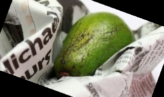 아보카도 보관법