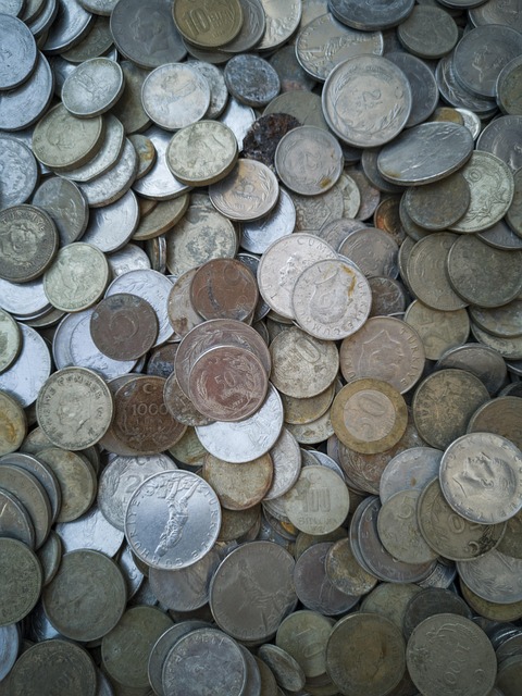 Magic Fallacy와 디지털 금융혁신의 양면성