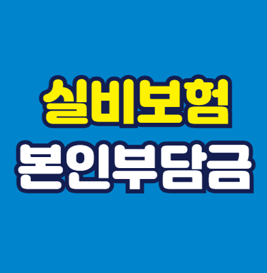 실비보험 본인부담금