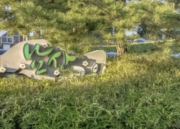 노송과 어우러진 강릉 유형문화유산 오성정 모습