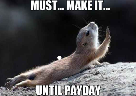 웹 페이지 밈 이미지