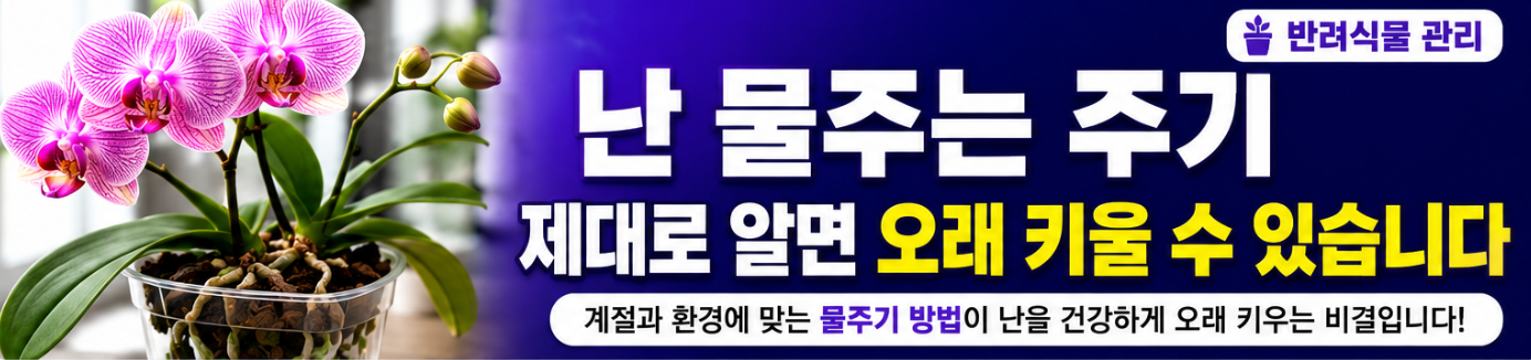 난 물주는 주기
