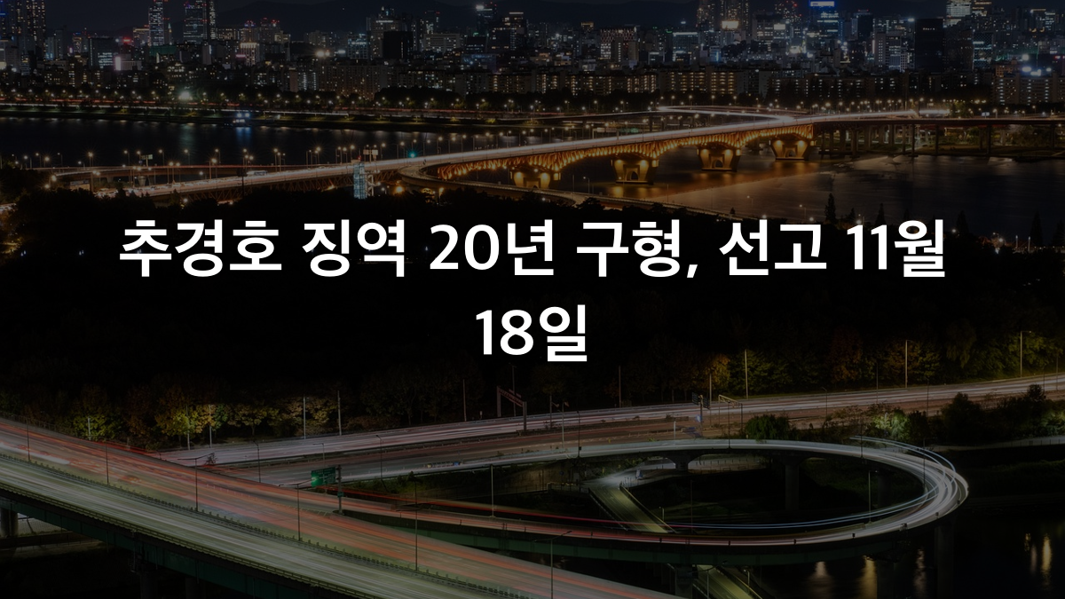 추경호 징역 20년 구형, 11월 18일 선고 예정