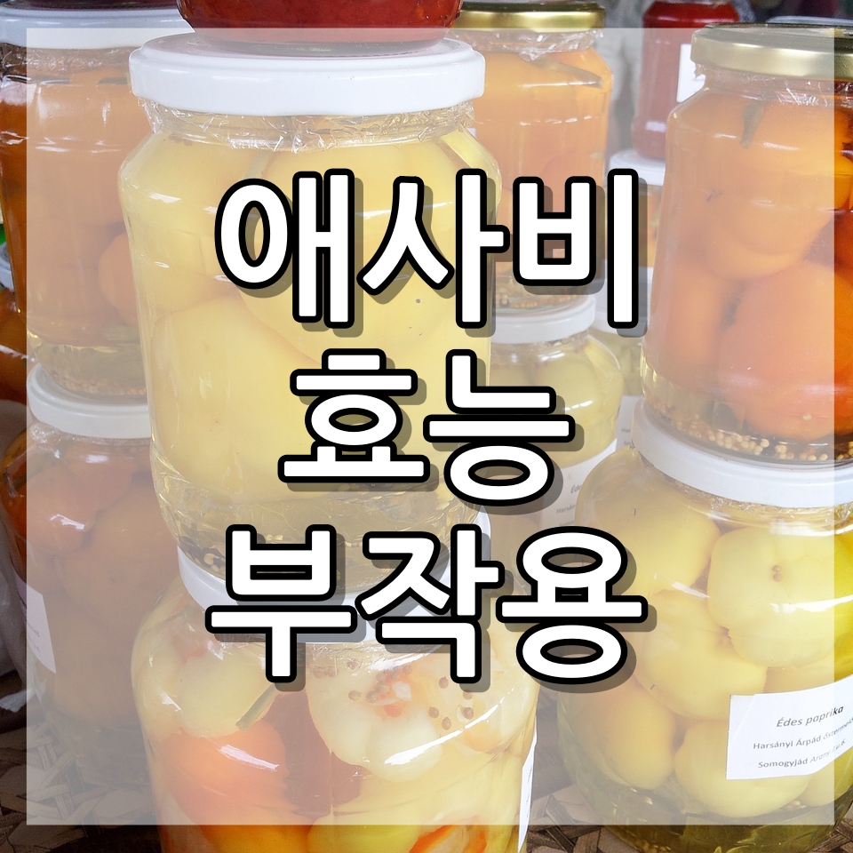 애플 사이다 비니거 먹는 법과 효과 부작용 한 번에 정리하기