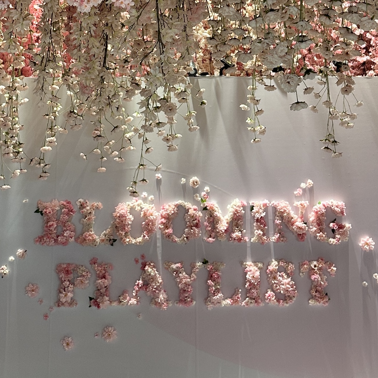 블루밍플레이리스트