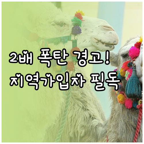 2026년 국민연금 개혁안 지역가입자..