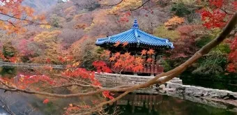 &amp;quot;내장산