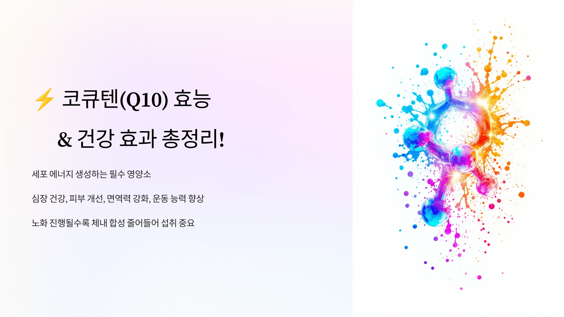 코큐텐과 관련된 사진입니다.