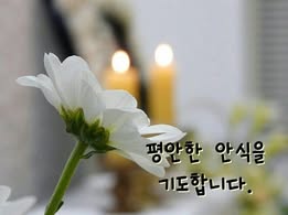 프란치스코 교황님의 영원한 안식을 위한 기도