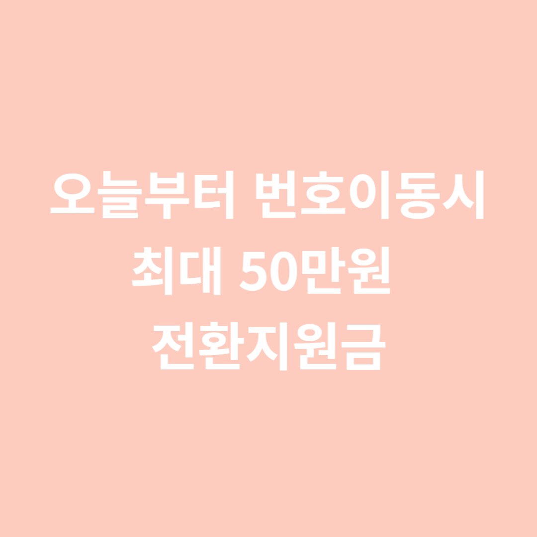 전환지원금