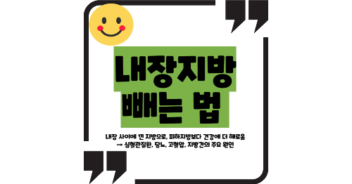 내장지방 빼는 법