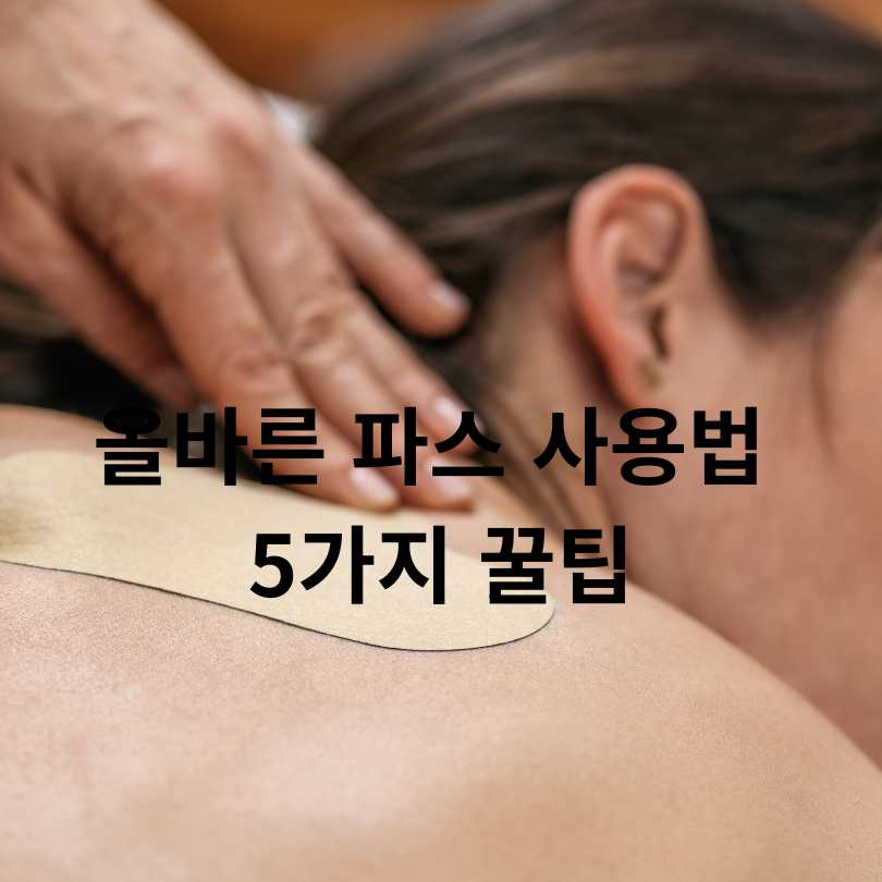 쿨파스와 핫파스의 차이점과 효과적인 사용 타이밍