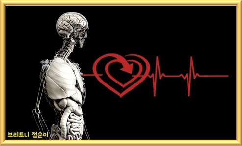 간 건강에 좋은 음식