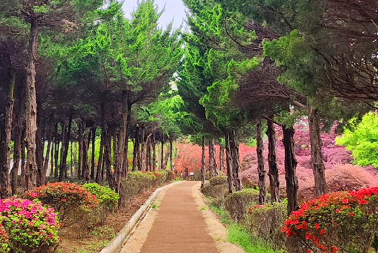 익산 아가페정원