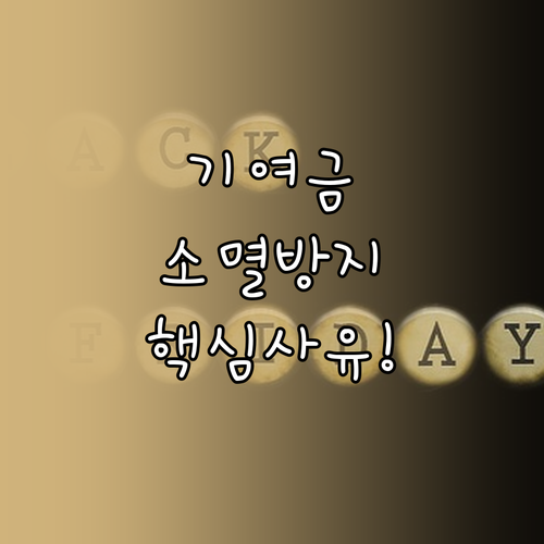 청년미래적금 정부 기여금 소멸 방지하..