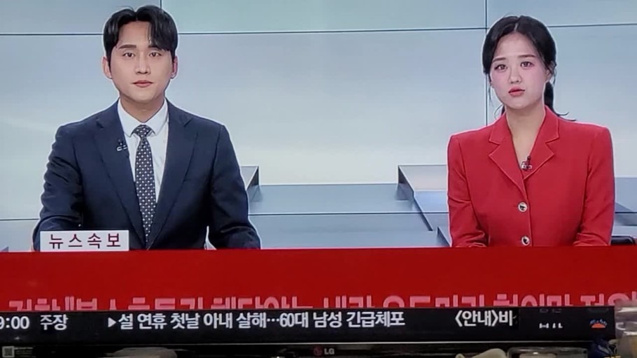 뉴스