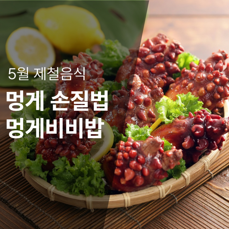 5월 제철음식 멍게 손질법 멍게비빔밥