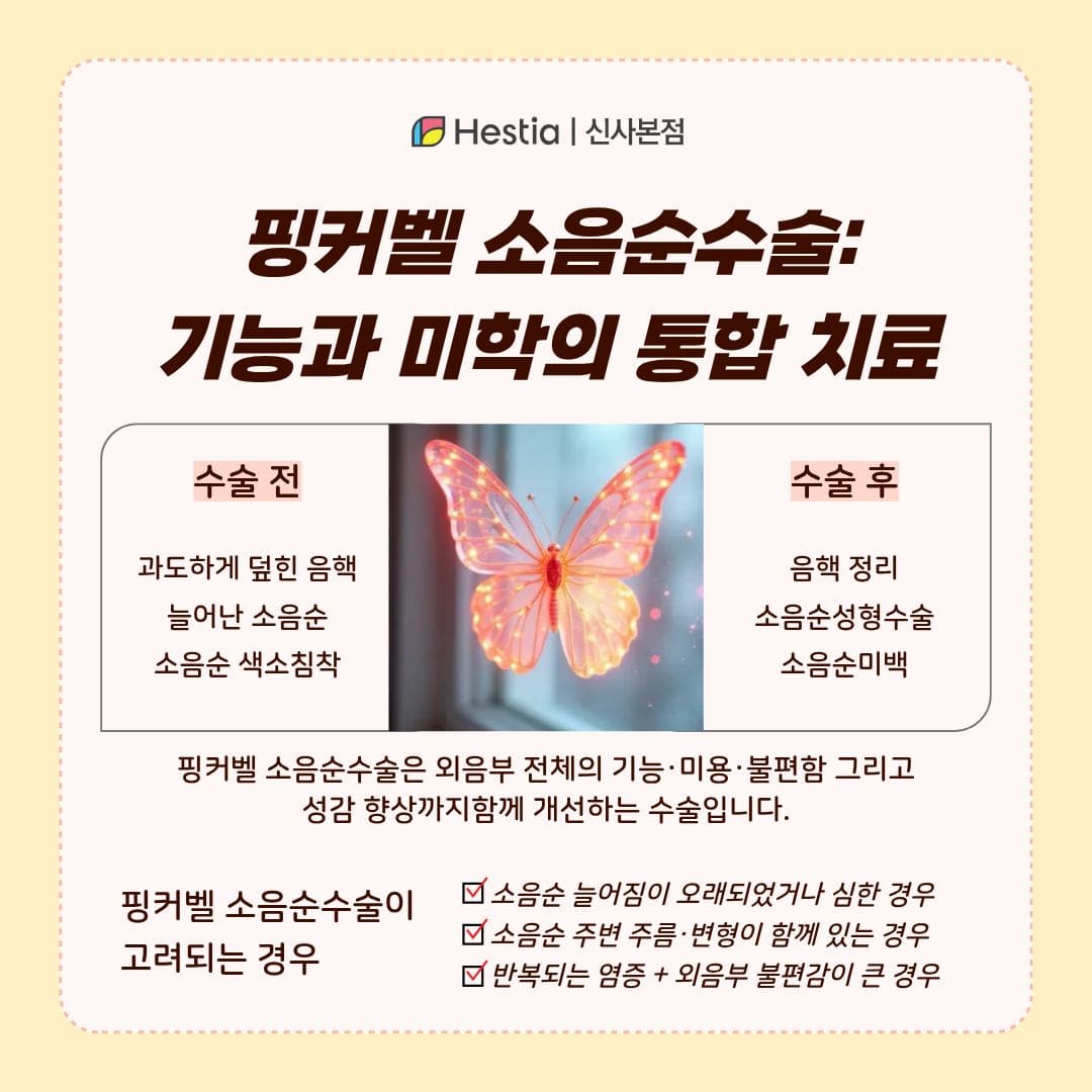 핑커벨 소음순수술: 기능과 미학의 통합 치료