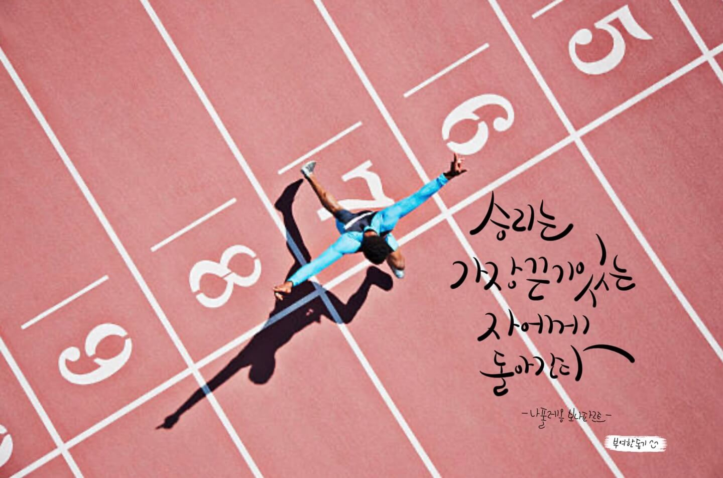 나폴레옹 보나파르트