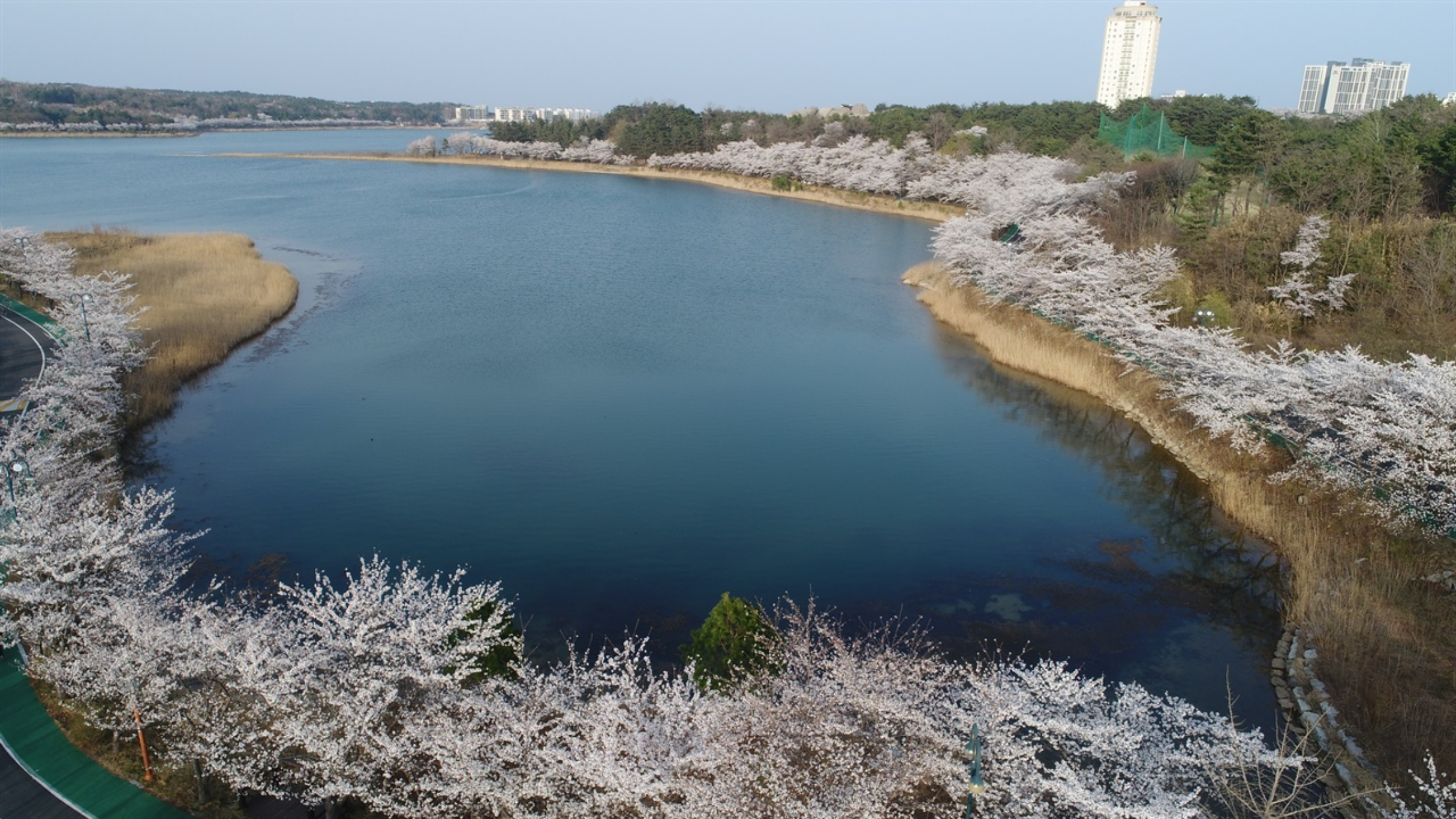 영랑호-전경