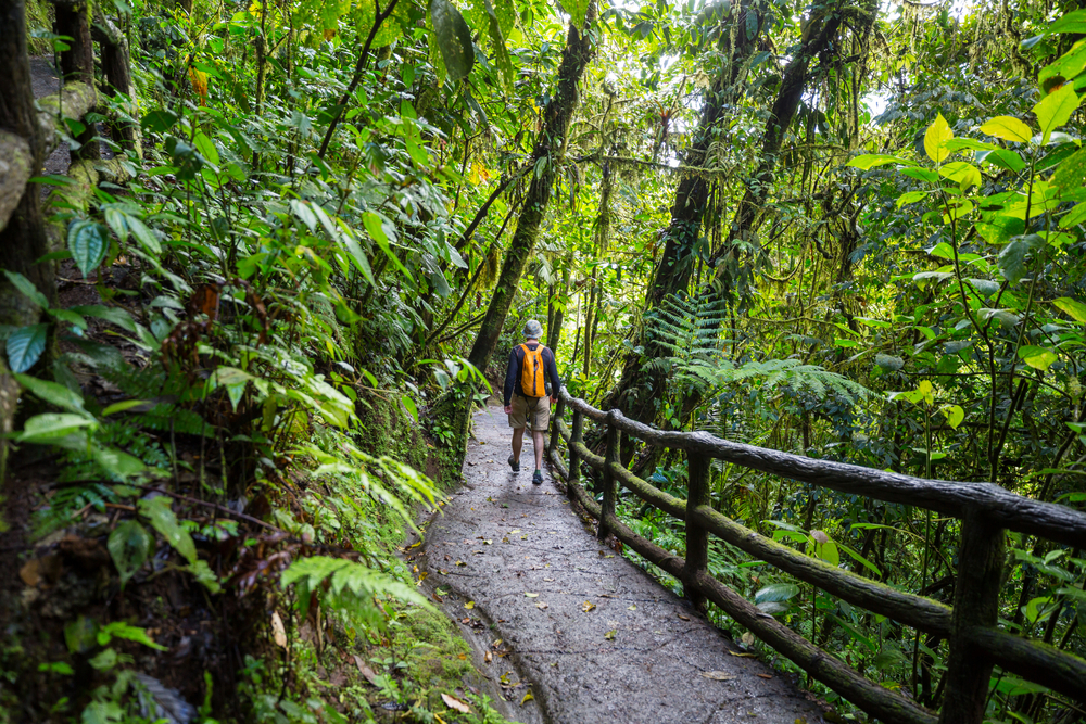 사진-편집-프로그램